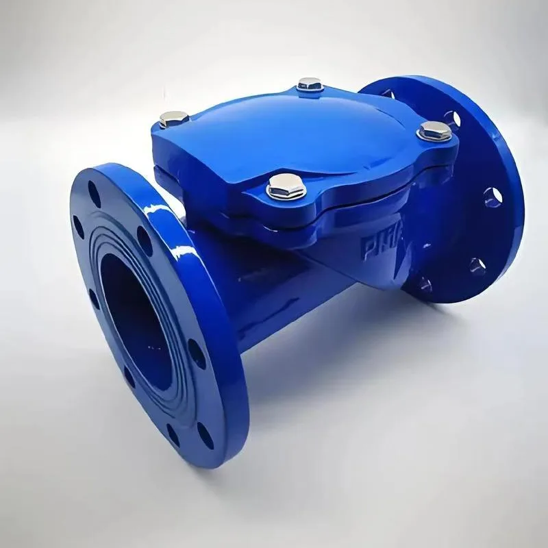 វ៉ាល់ពិនិត្យផ្លាកកៅស៊ូ